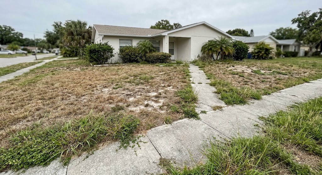 Dead, patchy lawn before sod replacement